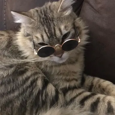 Profile image of じふん