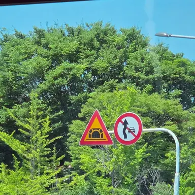 Profile image of 루이쨘