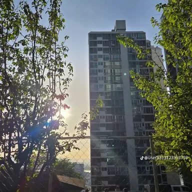 Profile image of 늦잠