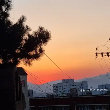 Profile image of 하루토