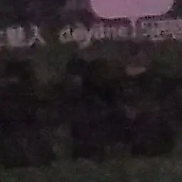 Profile image of 구치