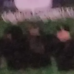 Profile image of 유칸