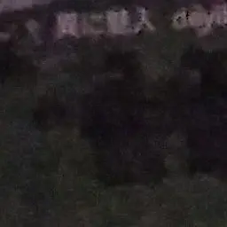 Profile image of 에그