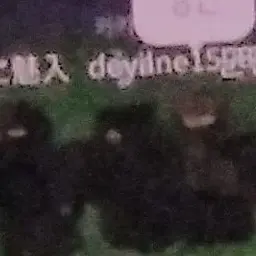 Profile image of 로키