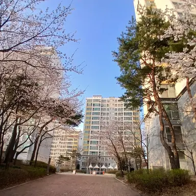 Profile image of 소야무로 키츠네