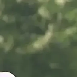 이지훈