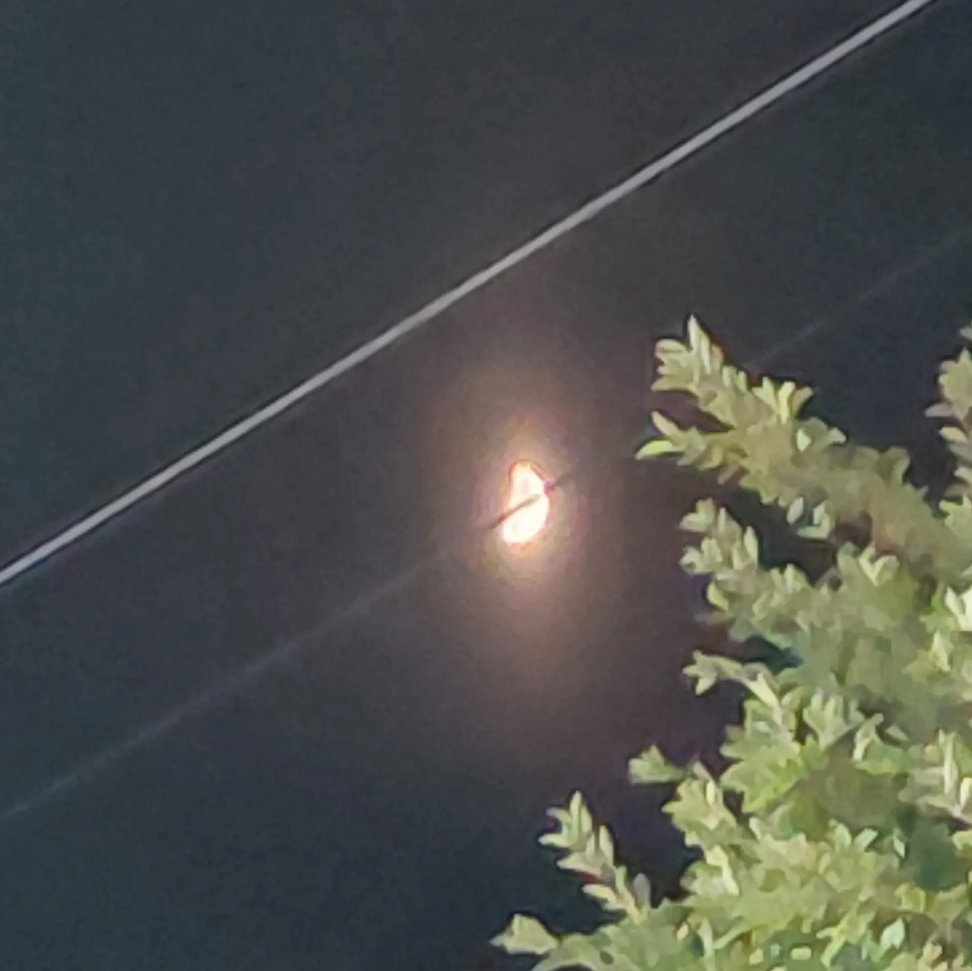 ConvexFan7514의 시참 참가!!!!!