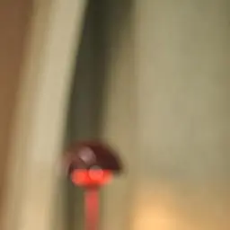 Profile image of セミ