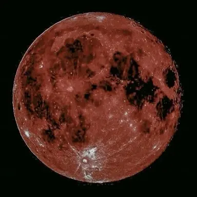 Profile image of 사토 렌 佐藤 蓮