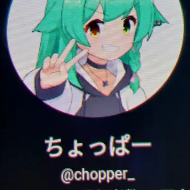 Profile image of ちょっぱー
