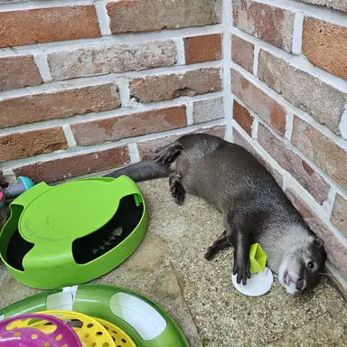 Profile image of 유저