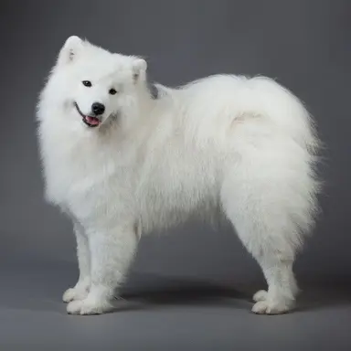 Profile image of 乃々果