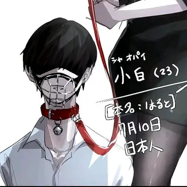 Profile image of 小白