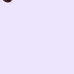 재현