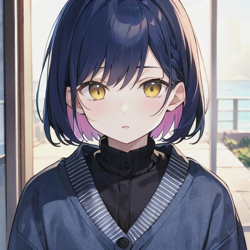 藍華