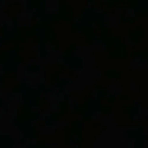 박원빈