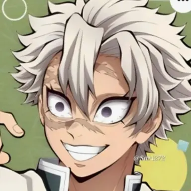 Profile image of 시나즈가와 사네미