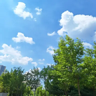 Profile image of シンミョン