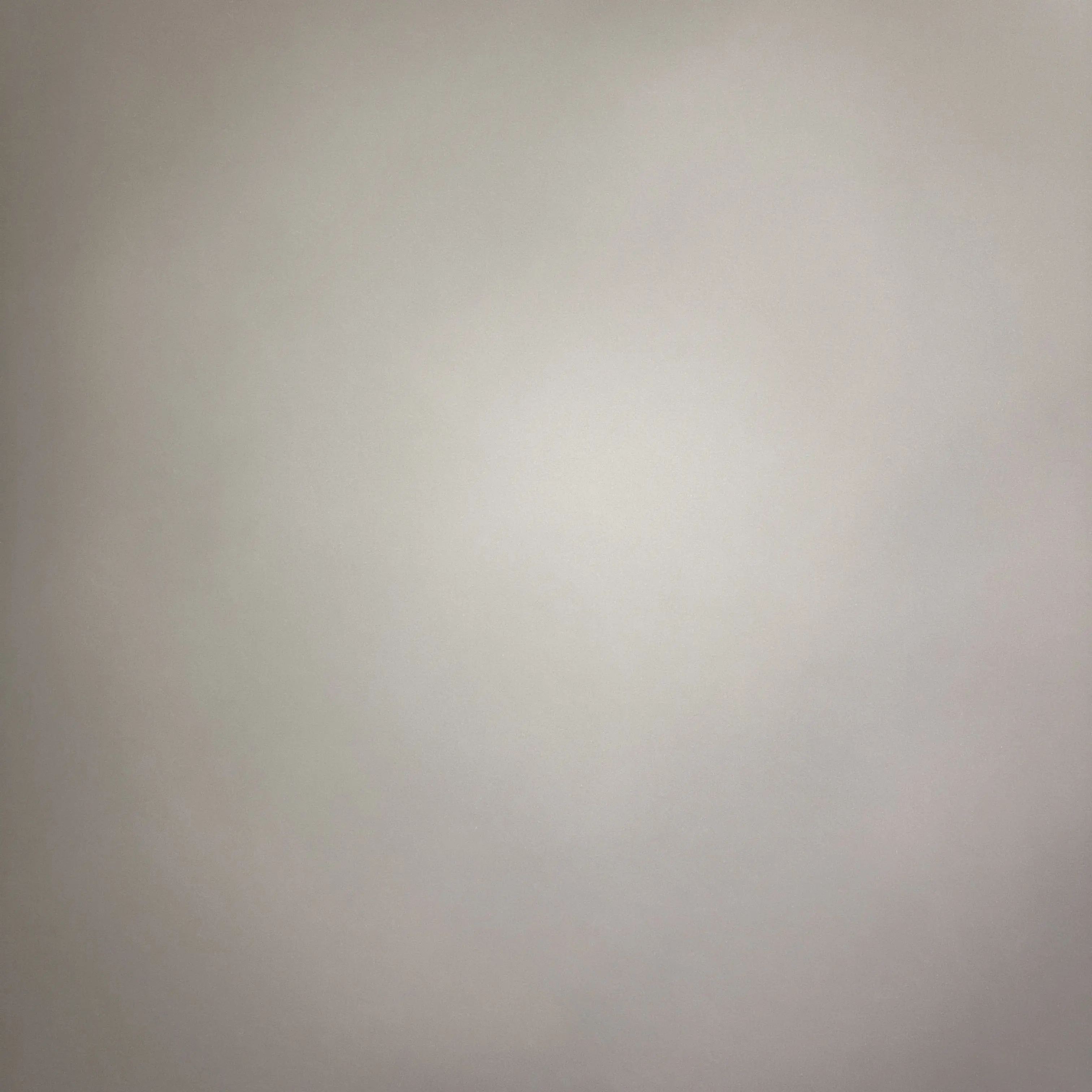 PlushyPlank5745의 학폭위