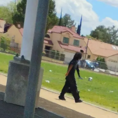 Profile image of Asher