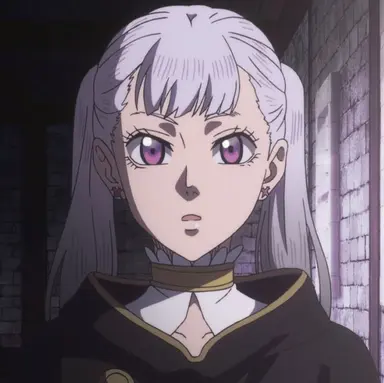 Profile image of ノエル・シルヴァ
