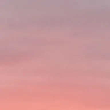 Profile image of 岸優太