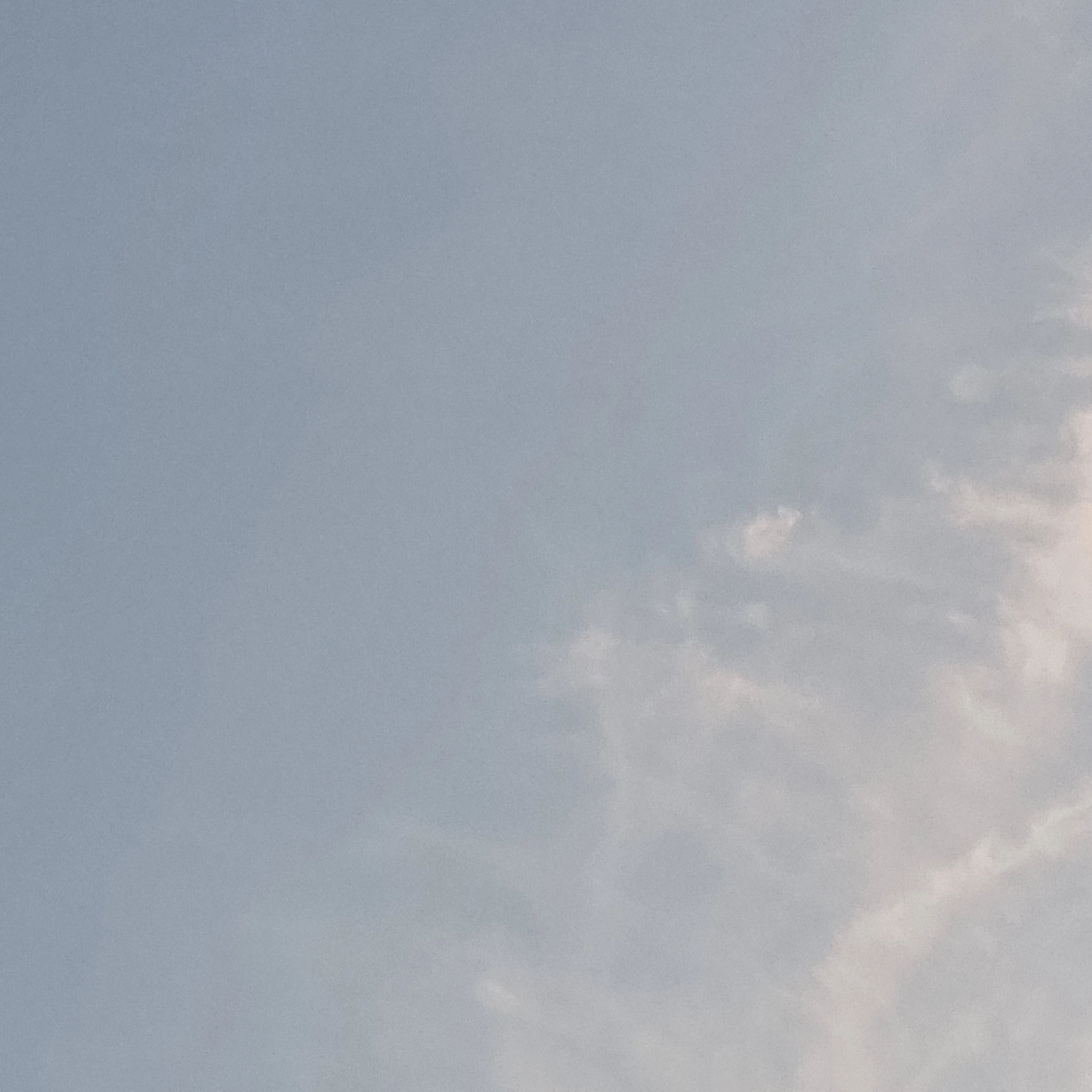 가연