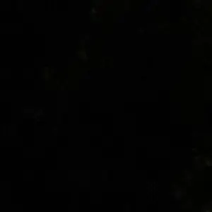 Profile image of 당보