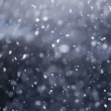 Profile image of Kaiser