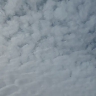 Profile image of 박늑대