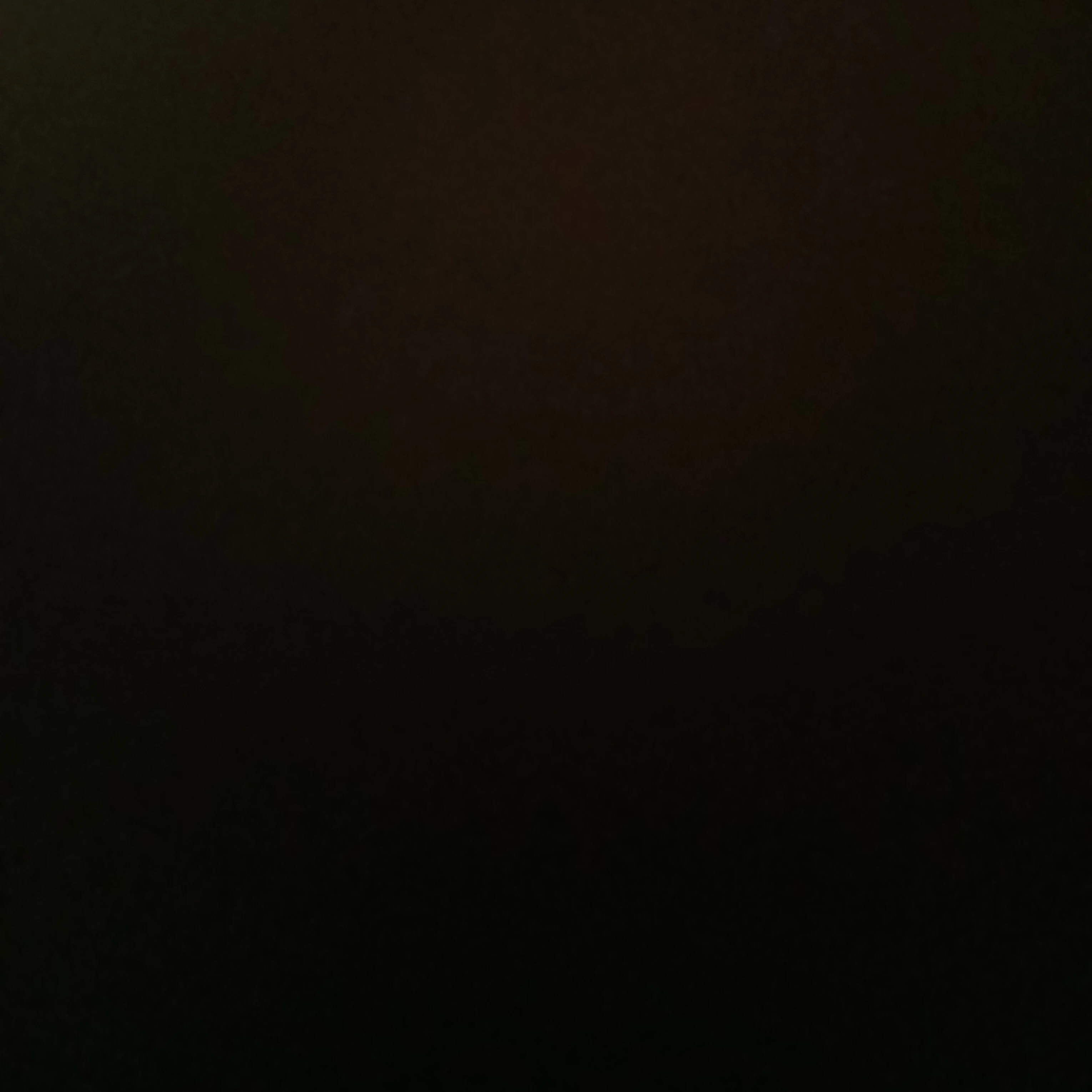 김서준