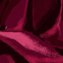 Profile image of 葛葉