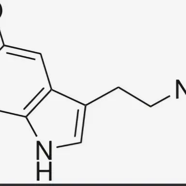 Profile image of 포로