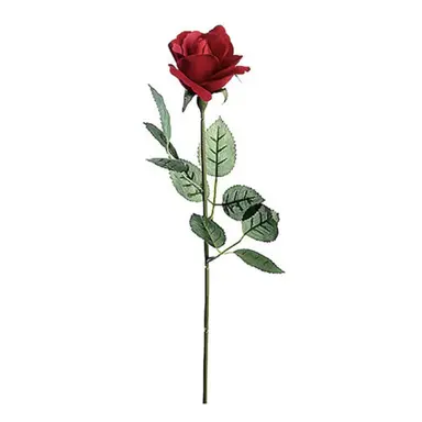 Profile image of 우무티