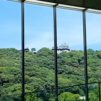 Profile image of 백지헌