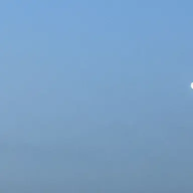 Profile image of 雅