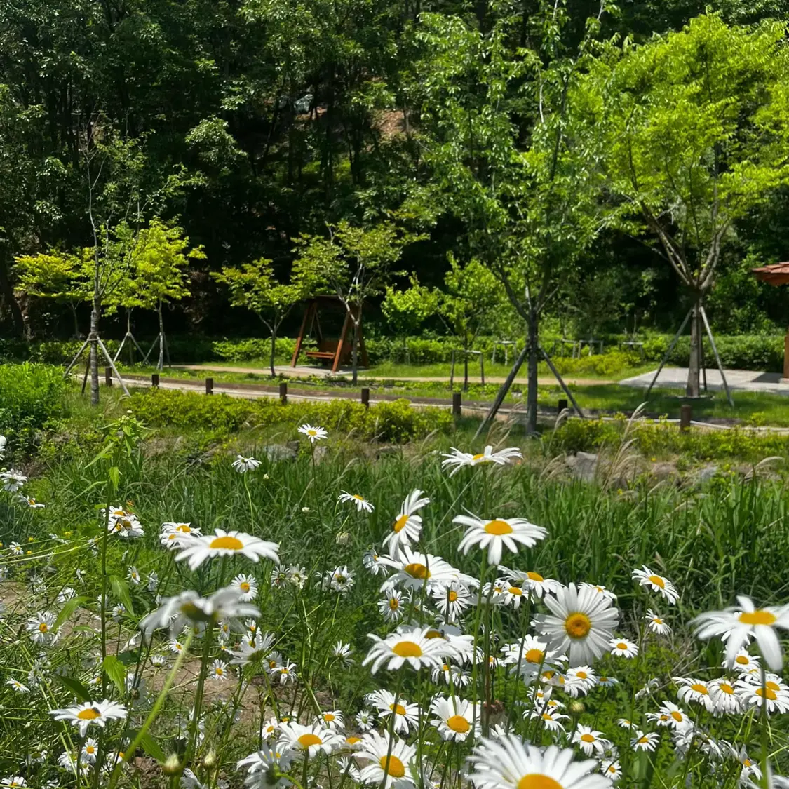 Dnwls0514의 중학교 생활