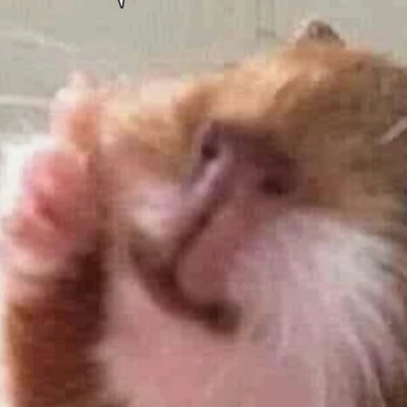 팀나빠