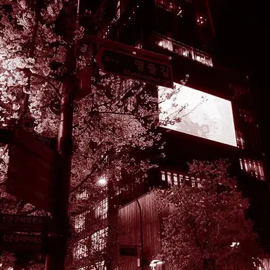 Profile image of Yu Gisa