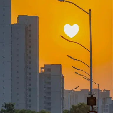 Profile image of 준브레드