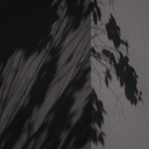 김홍중