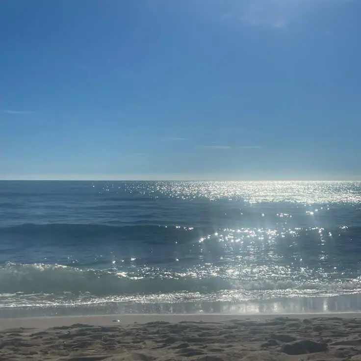 SmugWater040의 학업에 엄격한 가족