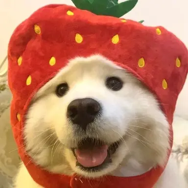 Profile image of 라더