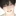 차승혁