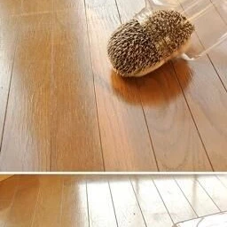 뽀이맨숀