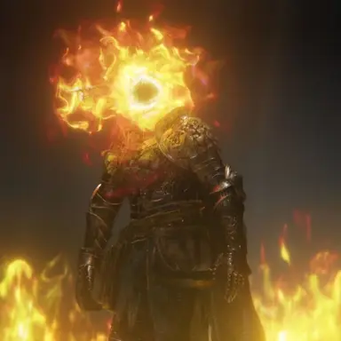 Profile image of Elden lord