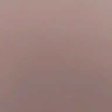 Profile image of 게토 스구루