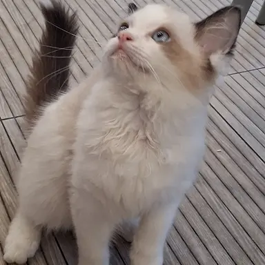 Profile image of 채수연