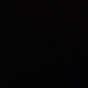 Profile image of 트라팔가 로우