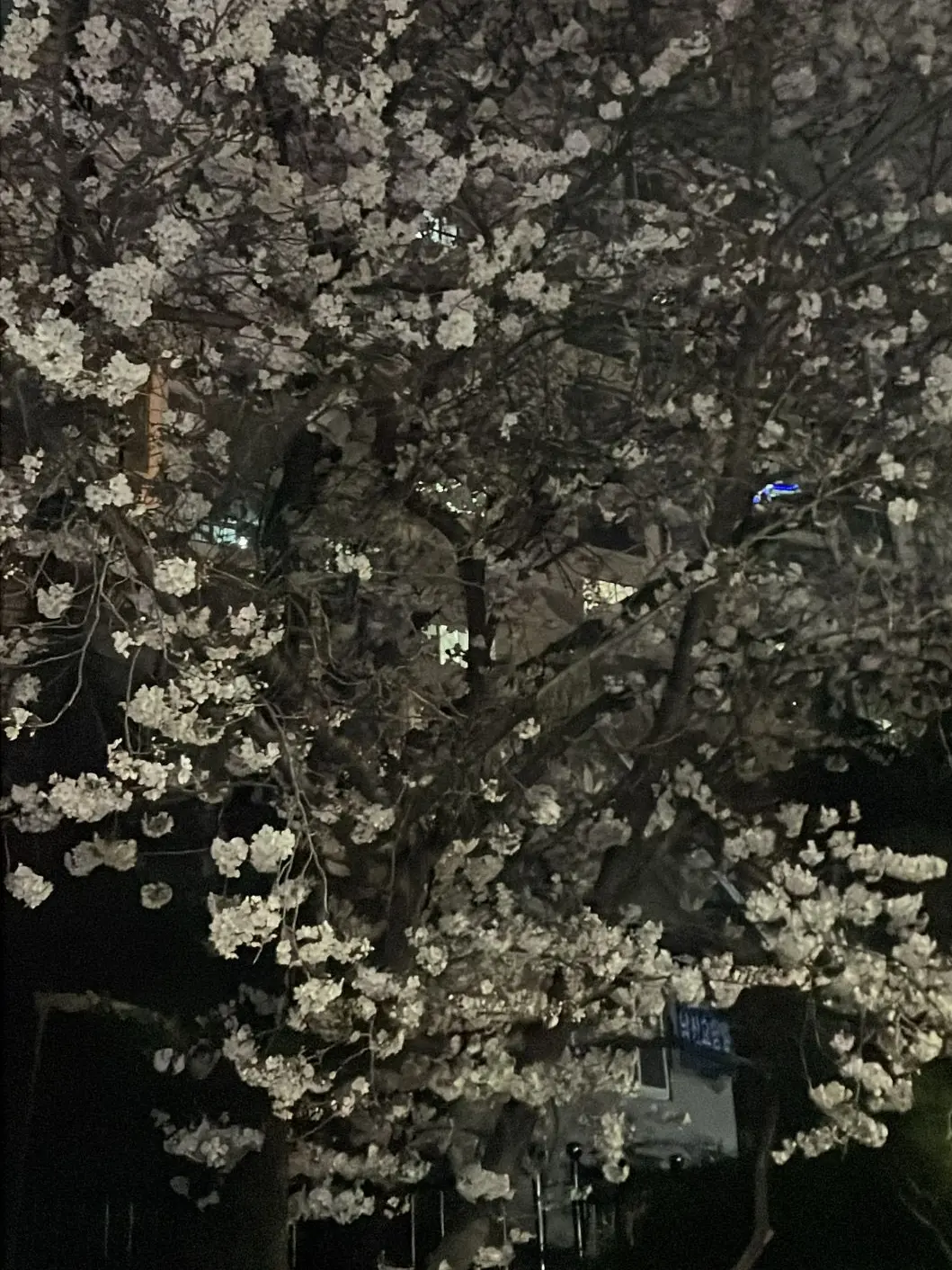 162.1_11의 썸타는 편의점